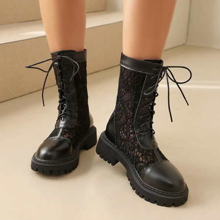 彩蝴蝶&彩蝴蝶C26-11