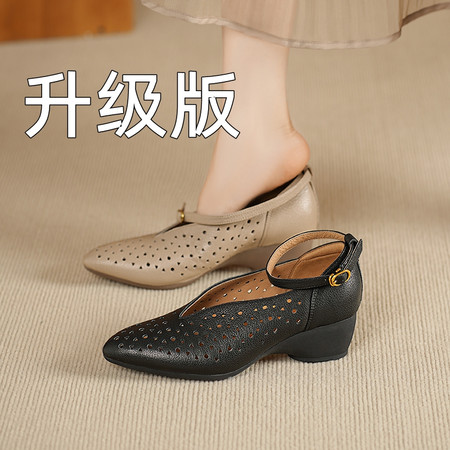 迪特尼&559-1