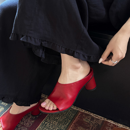 冬青&DQ95593W