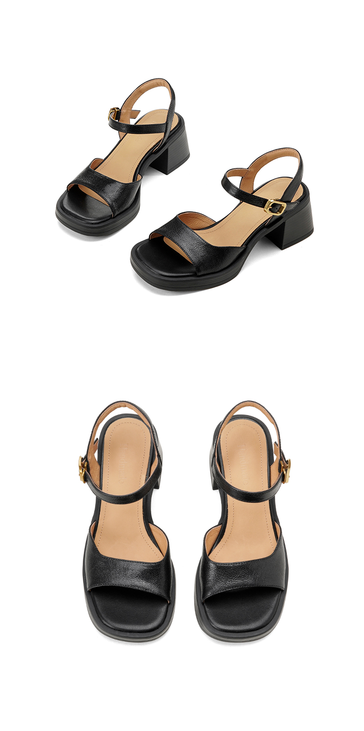 迪特尼&539-6批发采购